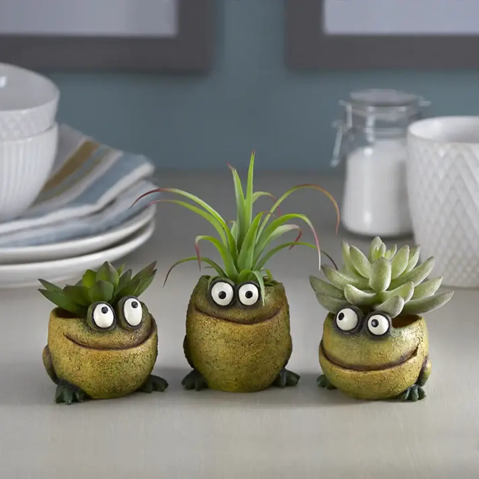 Blobhouse Blobhouse Baby Frog Mini Planter Pose Three