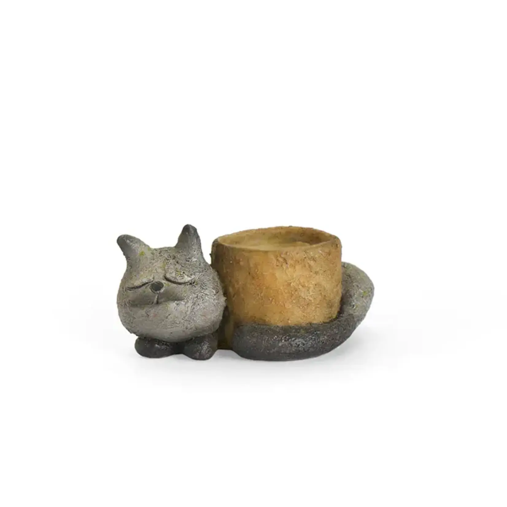 Blobhouse Blobhouse Baby Sleeping Kitty     (bin 11)