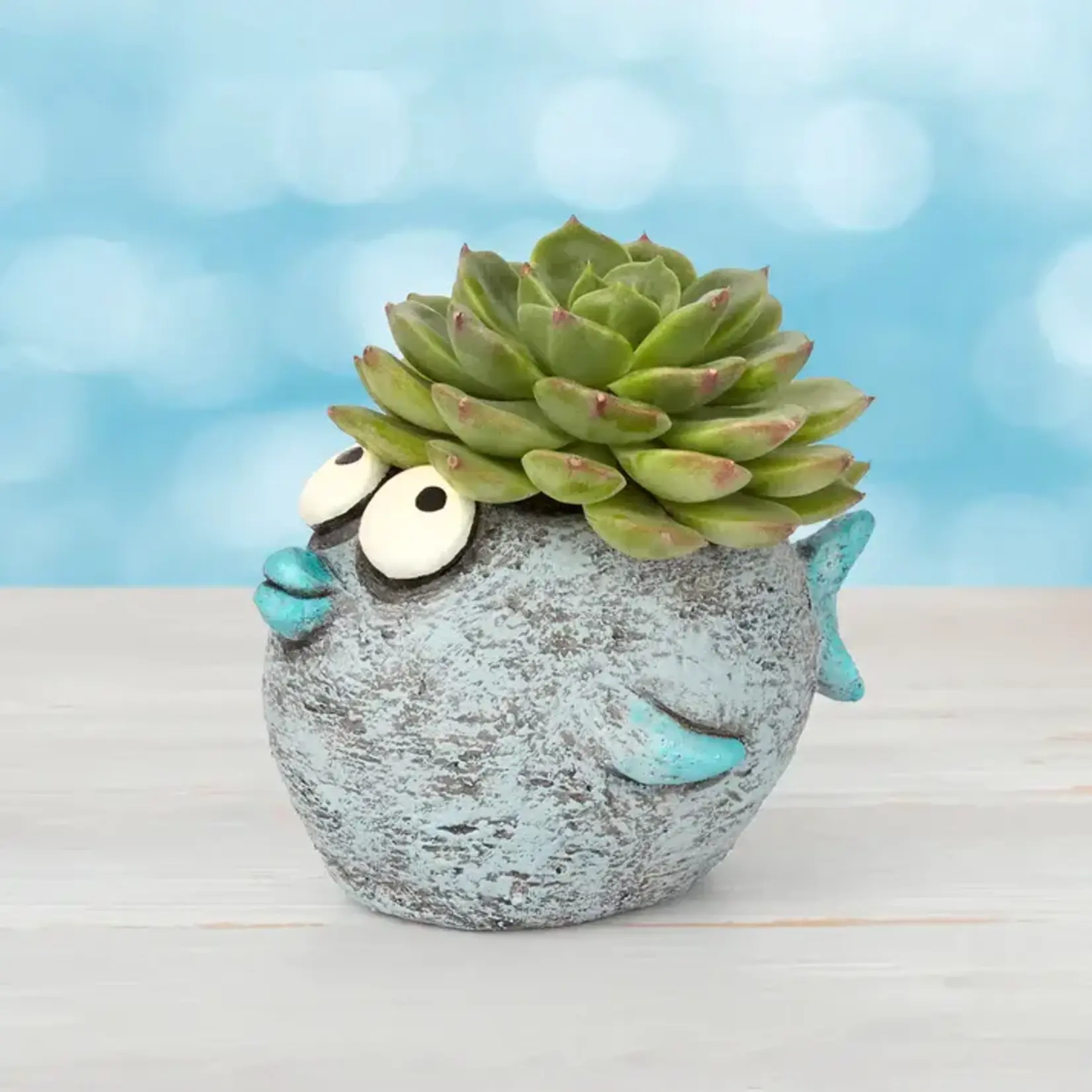 Blobhouse Blobhouse Bubbles Fish Planter    (A2 bs)