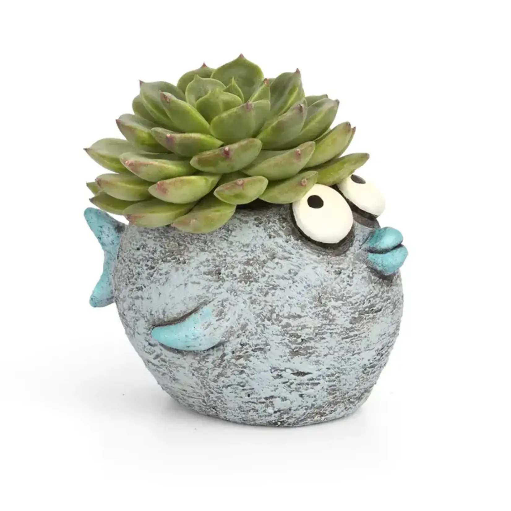 Blobhouse Blobhouse Bubbles Fish Planter    (A2 bs)