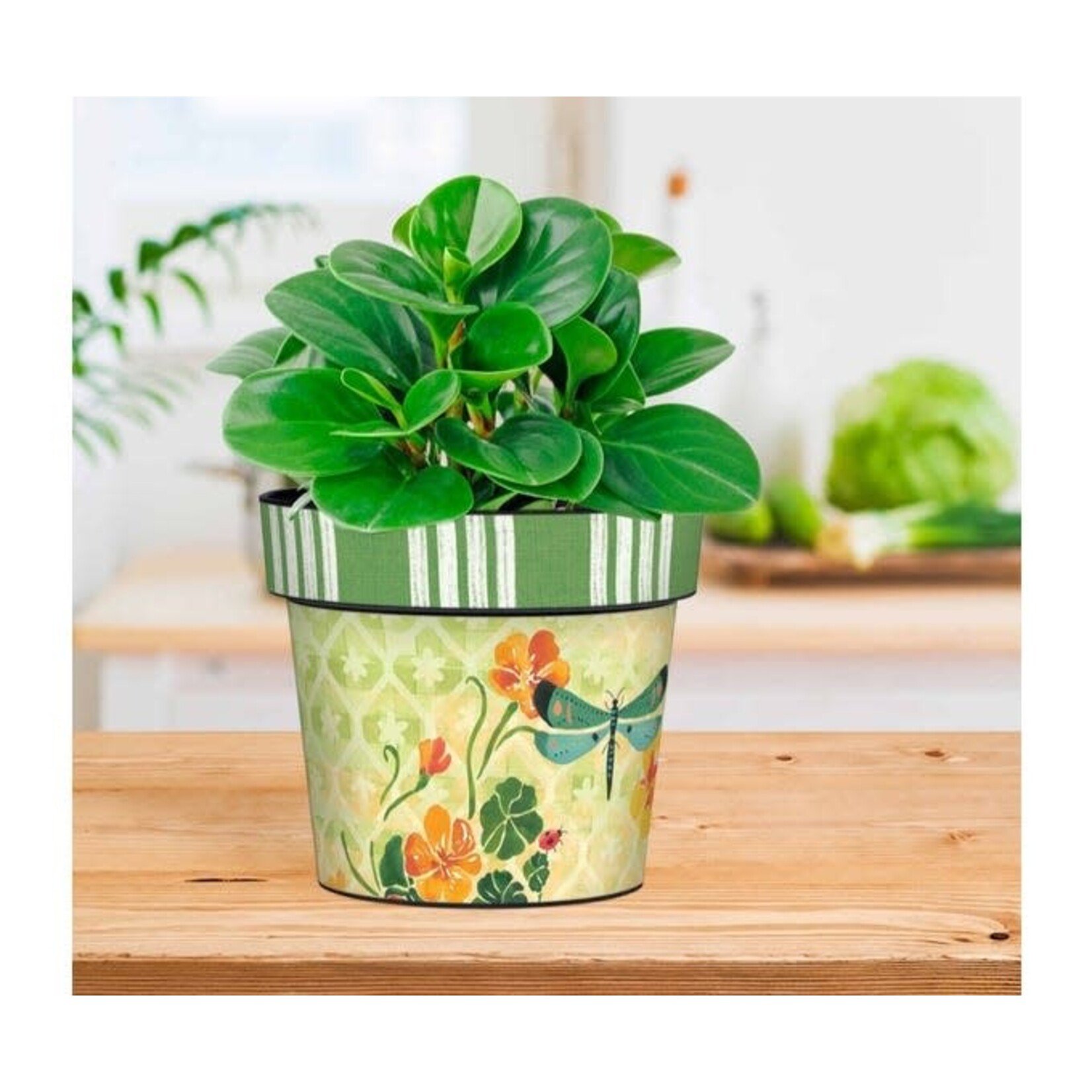 Lawn Party 6" Art Pot Was 21.00 NOW 9.99