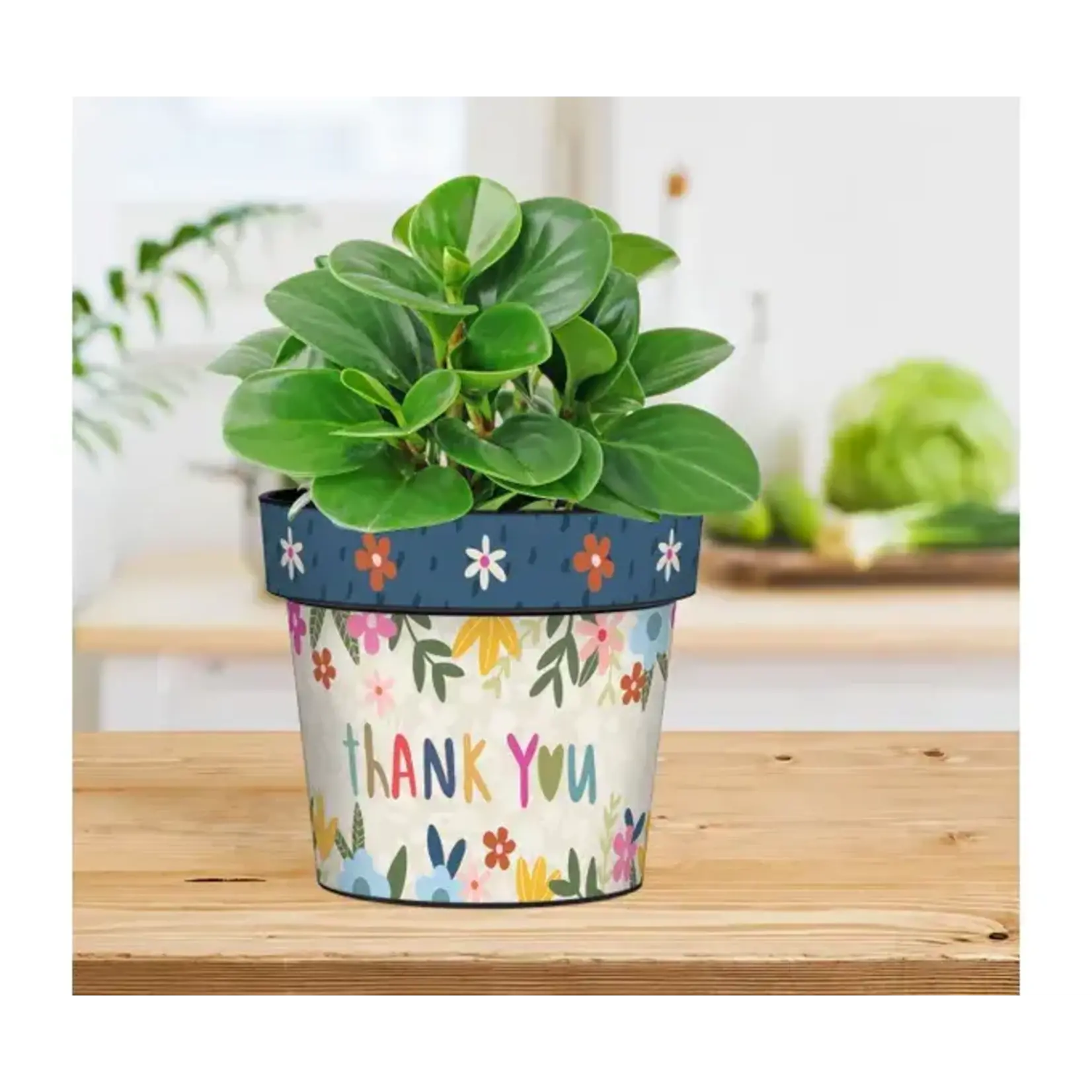 Thanks So Much 6" Art Pot Was $21.00 Now 9.99