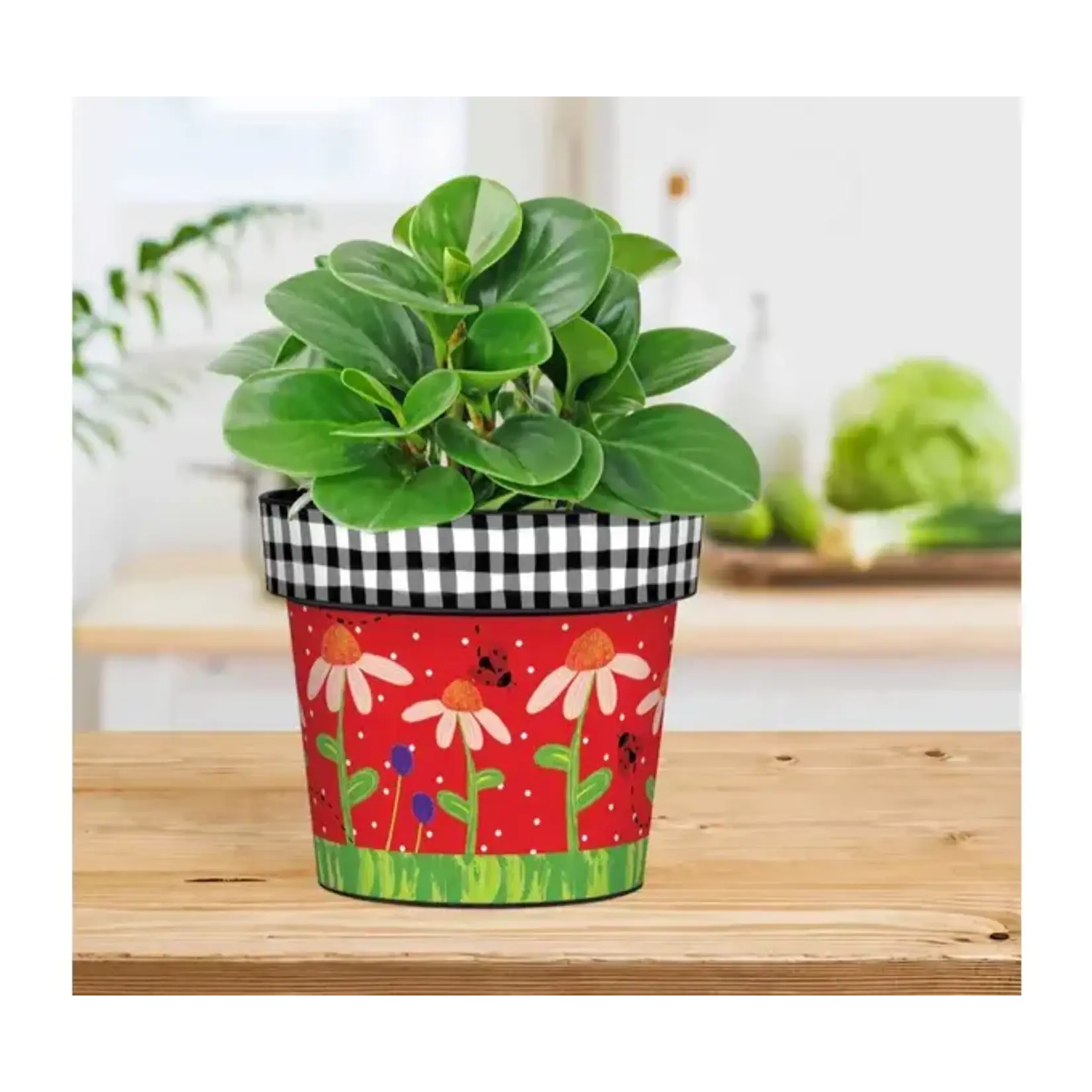 Bugs and Blooms 6" Art Pot Was 21.00 Now 9.99