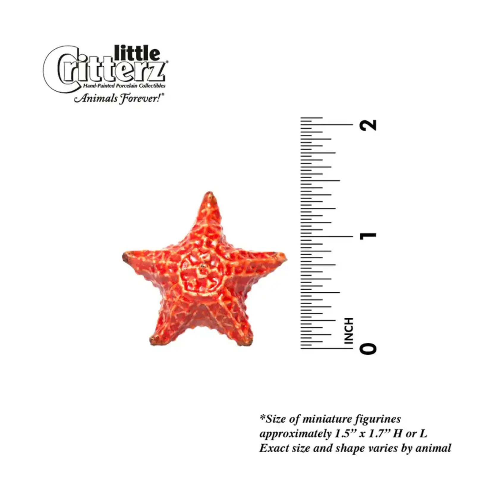 Little Critterz Starfish "Sea-Star"