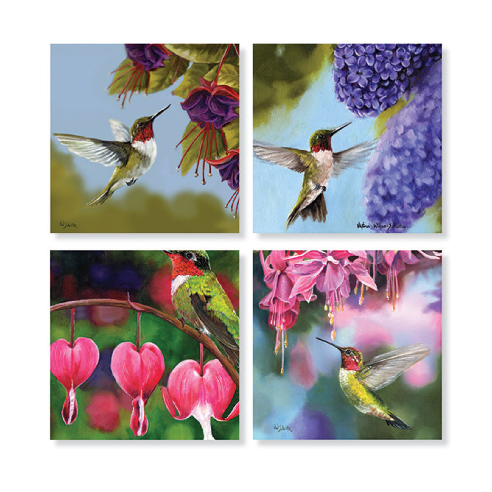 Hummingbird Coaster Set