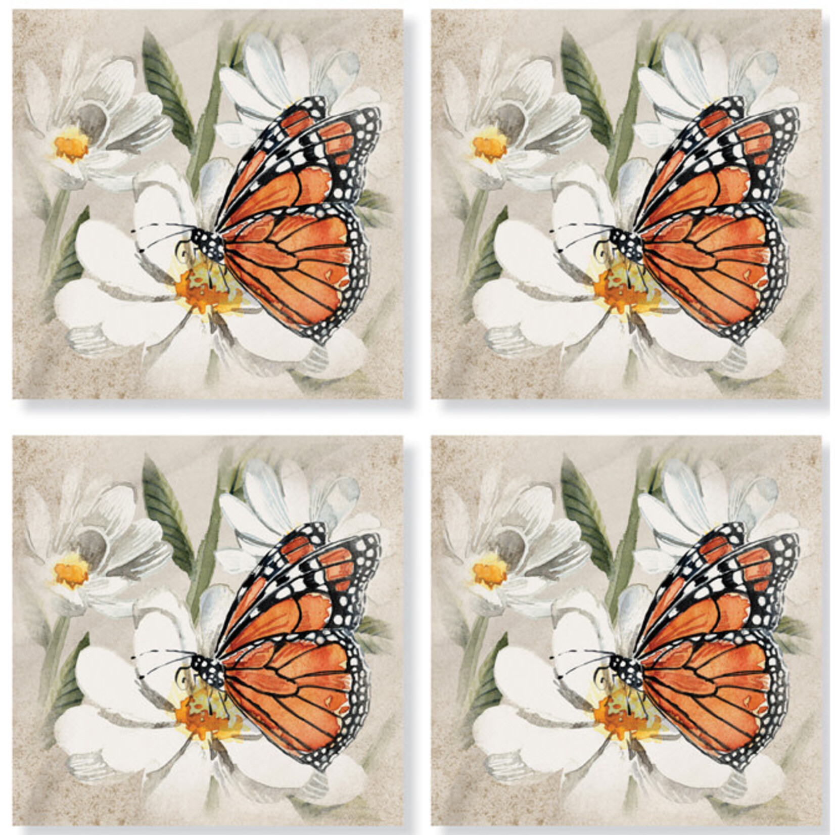 Monarch On Flower Coaster Set