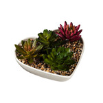 Heart Shaped Dish with Succulent