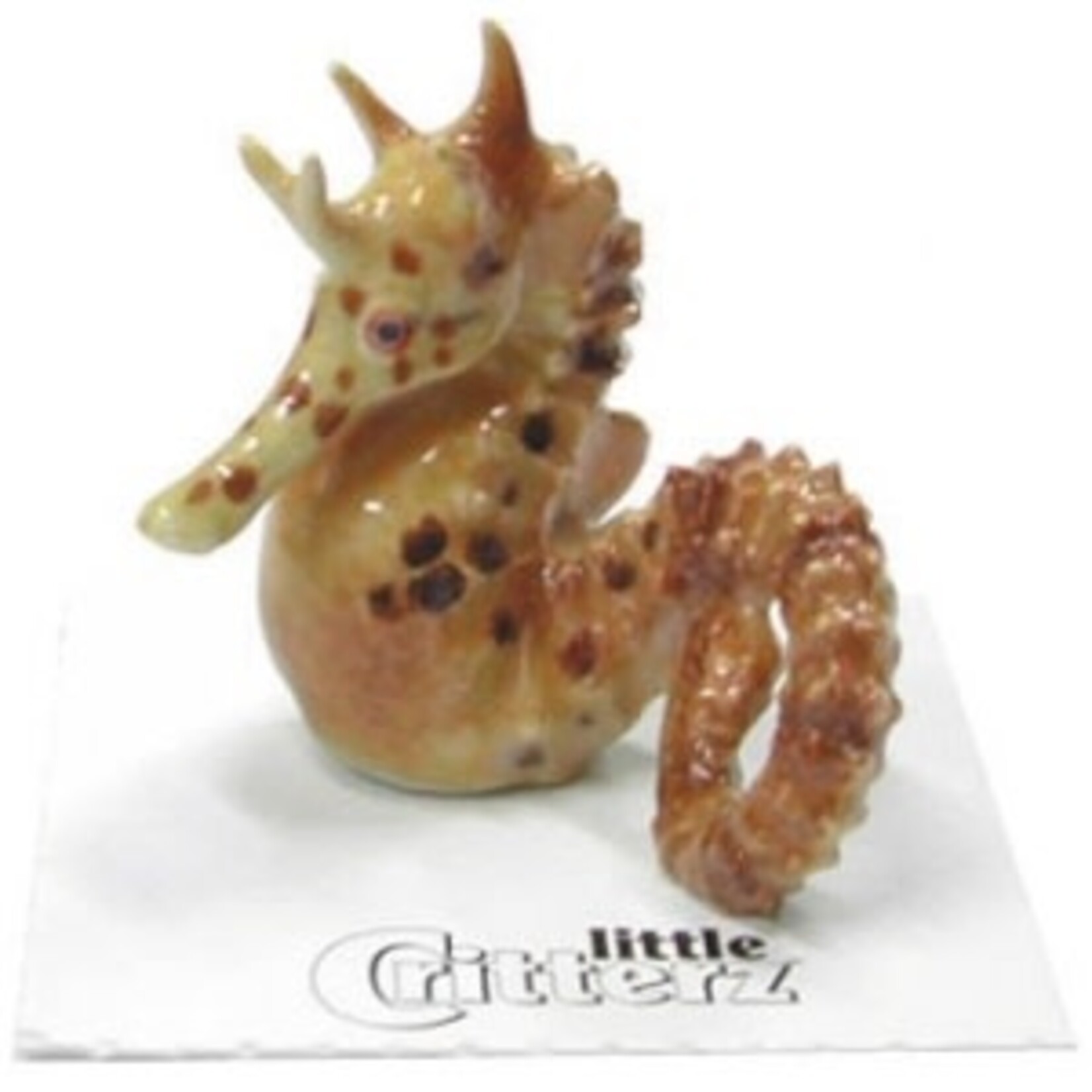 Little Critterz "Dancer" Big Belly Seahorse