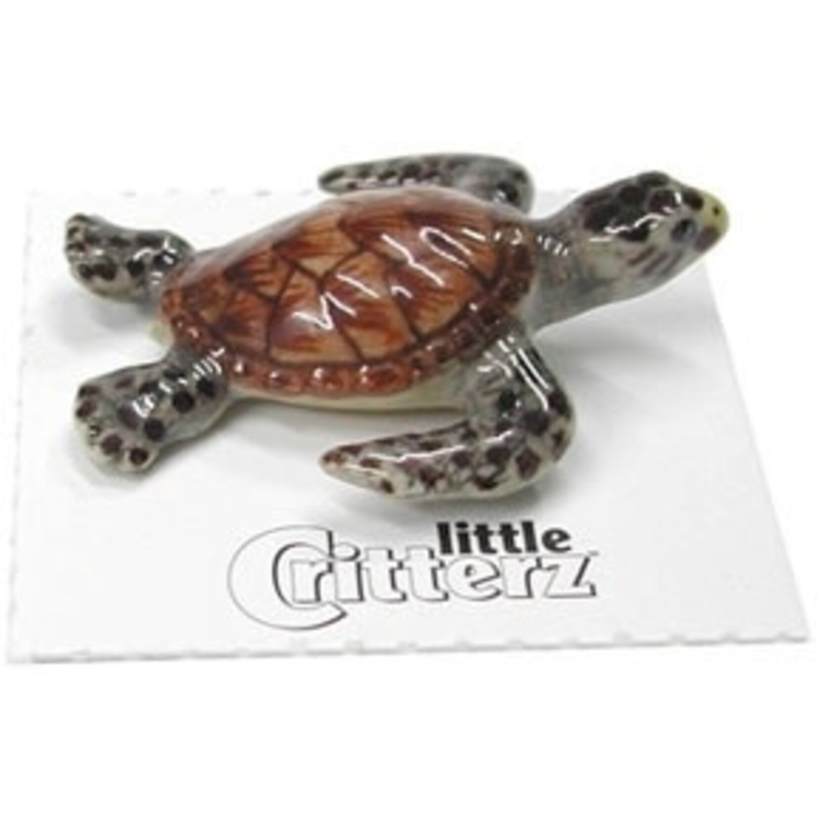 Little Critterz Lagoon Hawksbill Sea Turtle Miniature