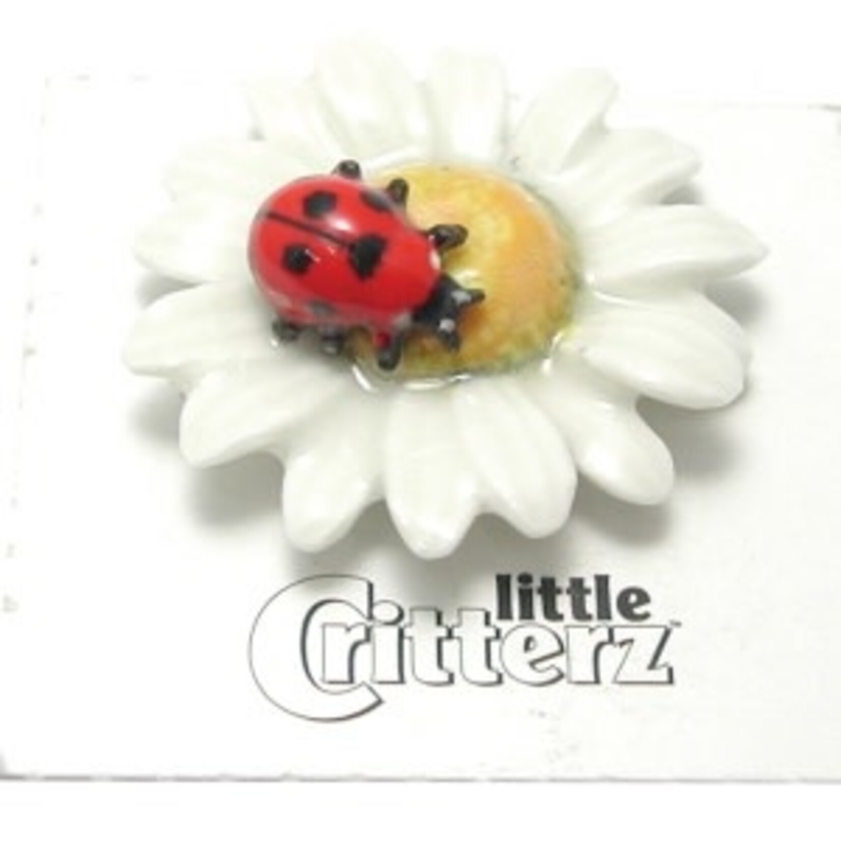 Little Critterz "Daisy" Ladybug on Flower Miniature