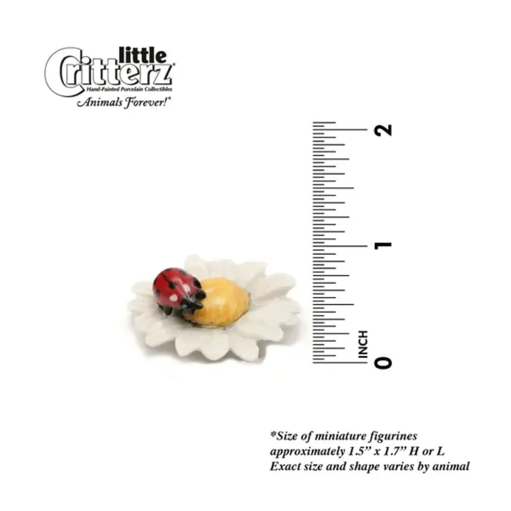 Little Critterz "Daisy" Ladybug on Flower Miniature
