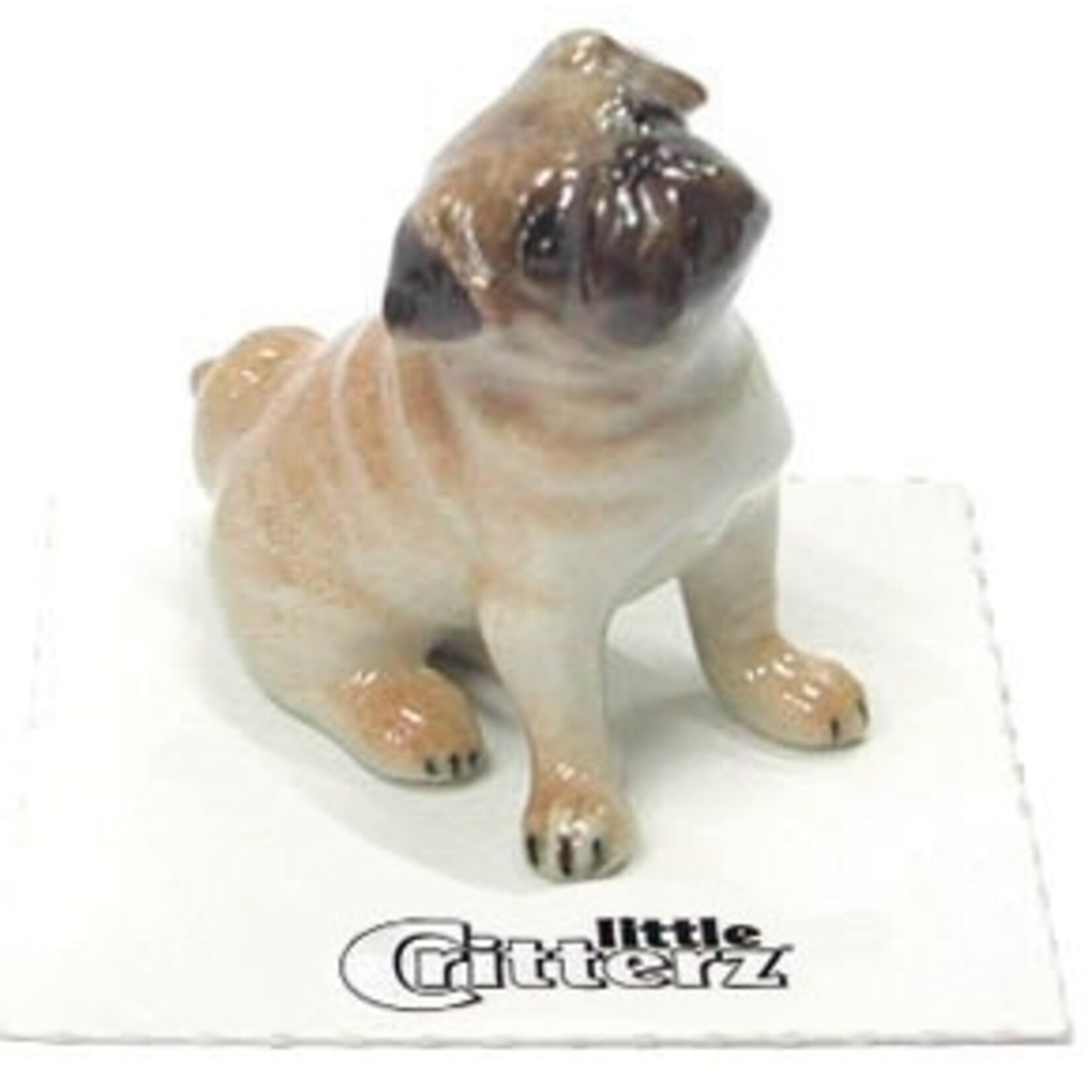 Little Critterz "Button" Pug Miniature