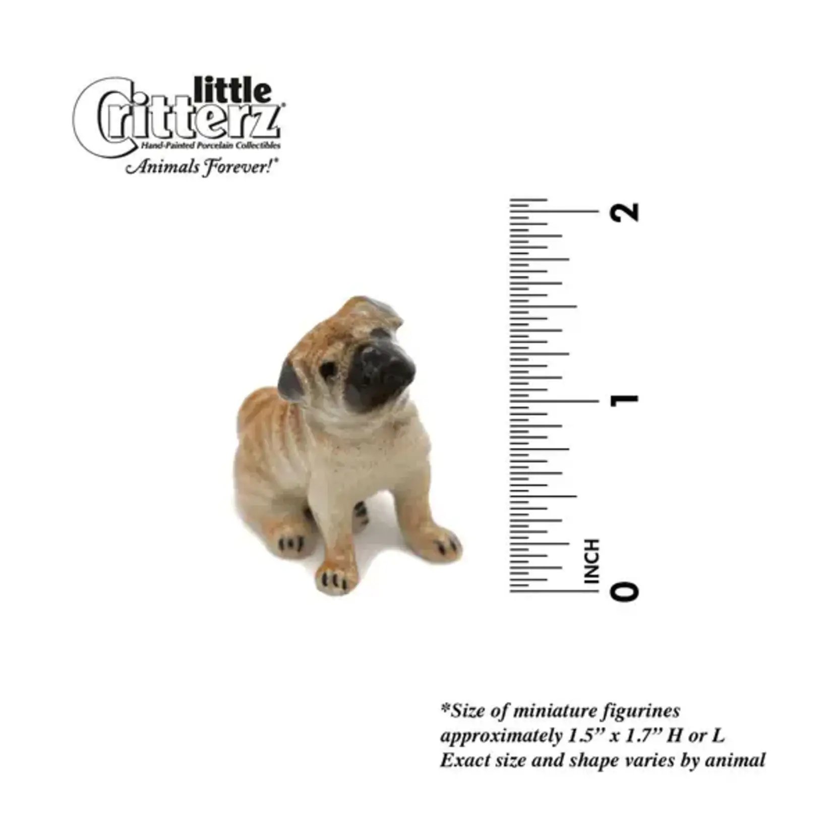 Little Critterz "Button" Pug Miniature