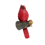Cardinal On A Branch (Resin)