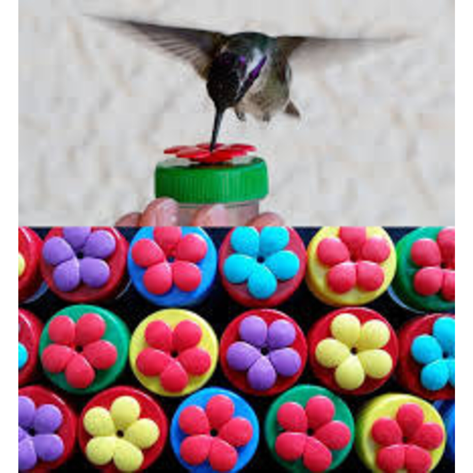 Hummingbird Nectar Dot Feeder