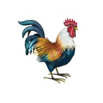 Regal Art & Gift Golden Duckwing Rooster Decor Medium