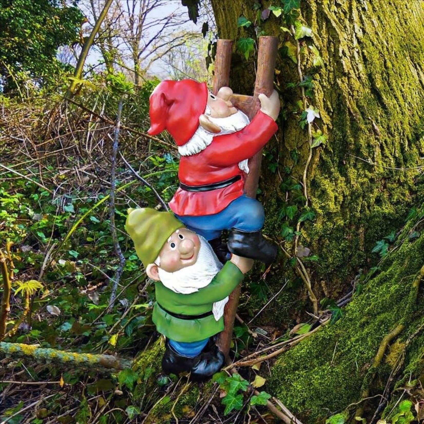 Up the Ladder: Climbing Garden Gnome Statue (H 19)