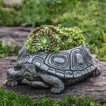 Campania Turtle Planter Small