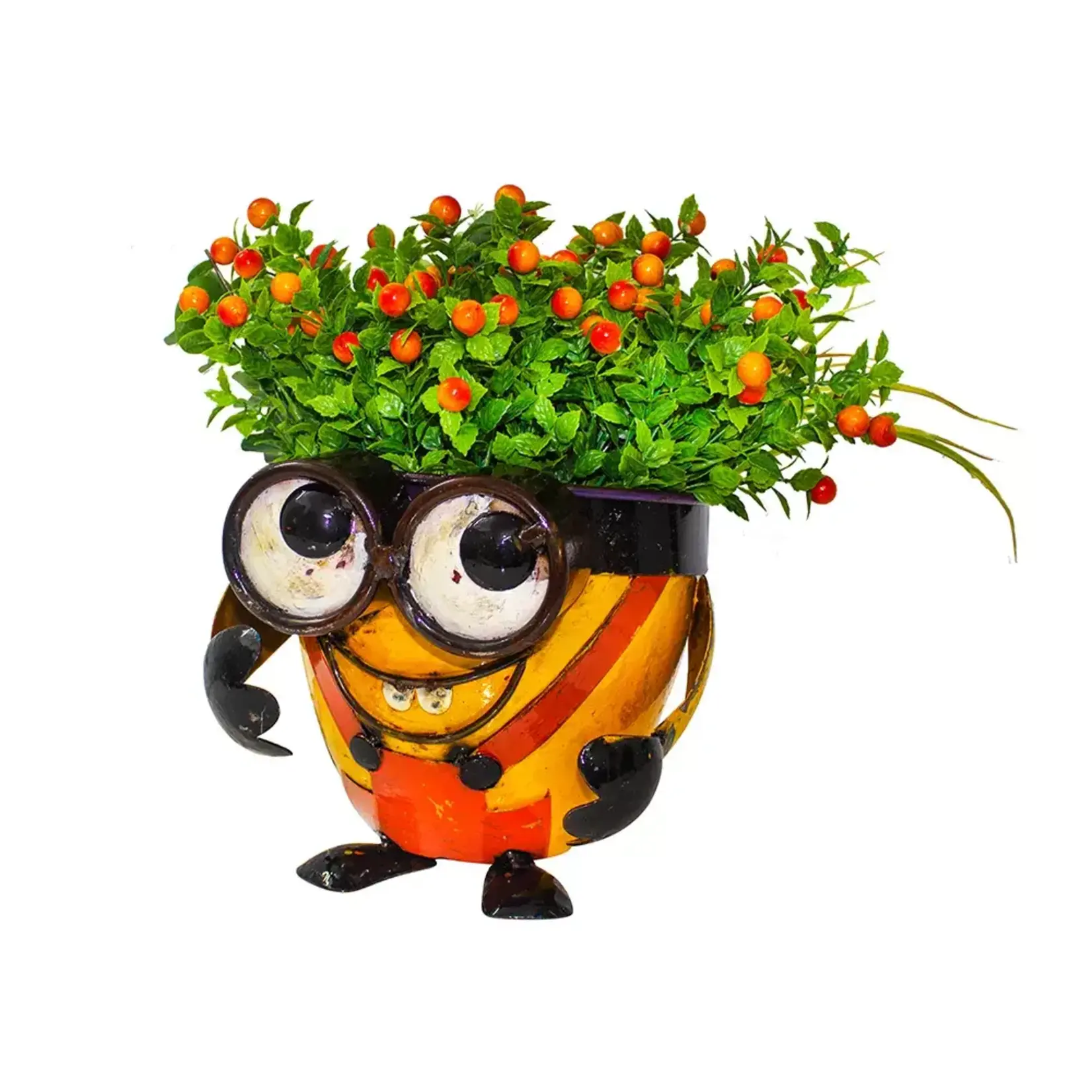 Think Outside Crazy Me Pot Look Up