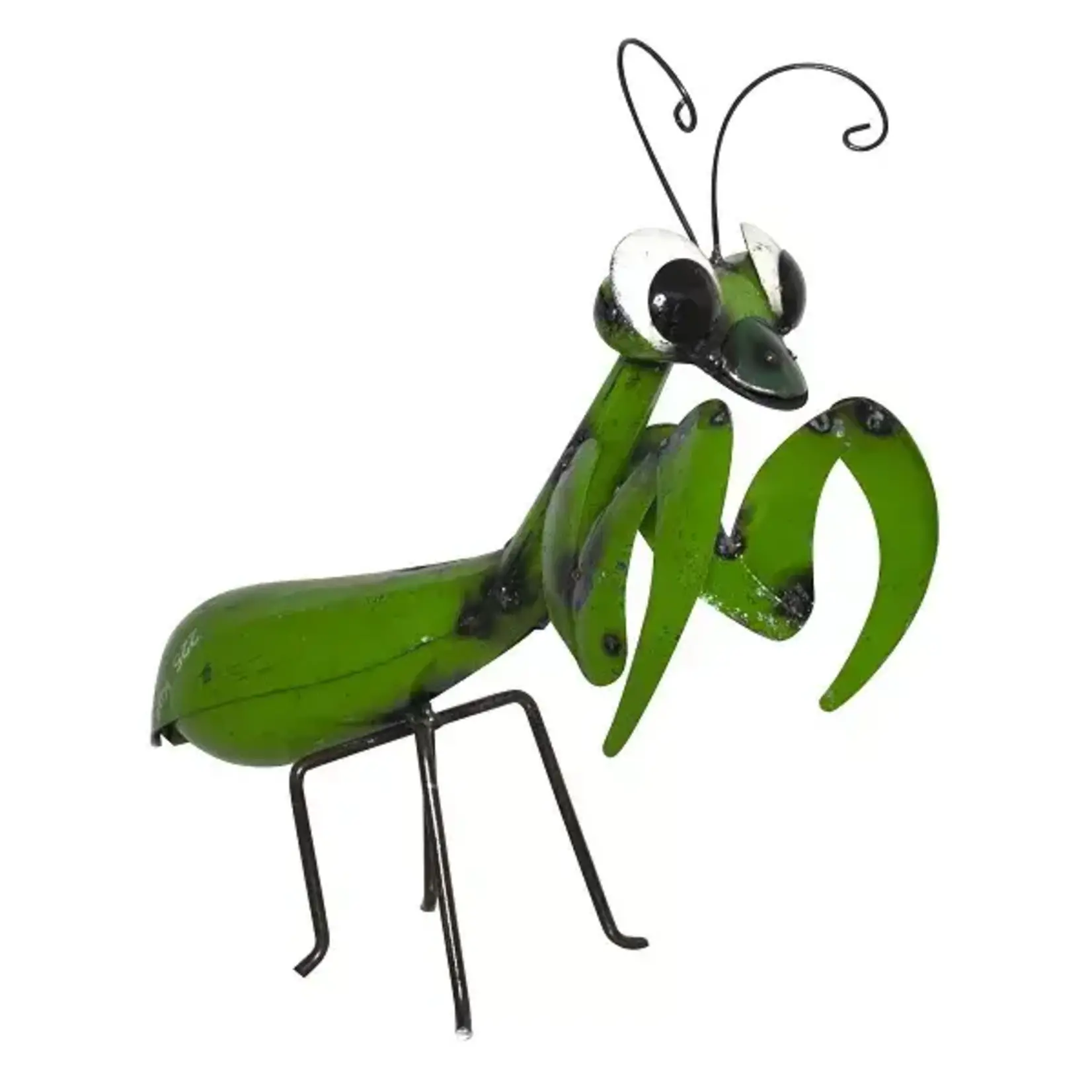 Think Outside Preying Mantis