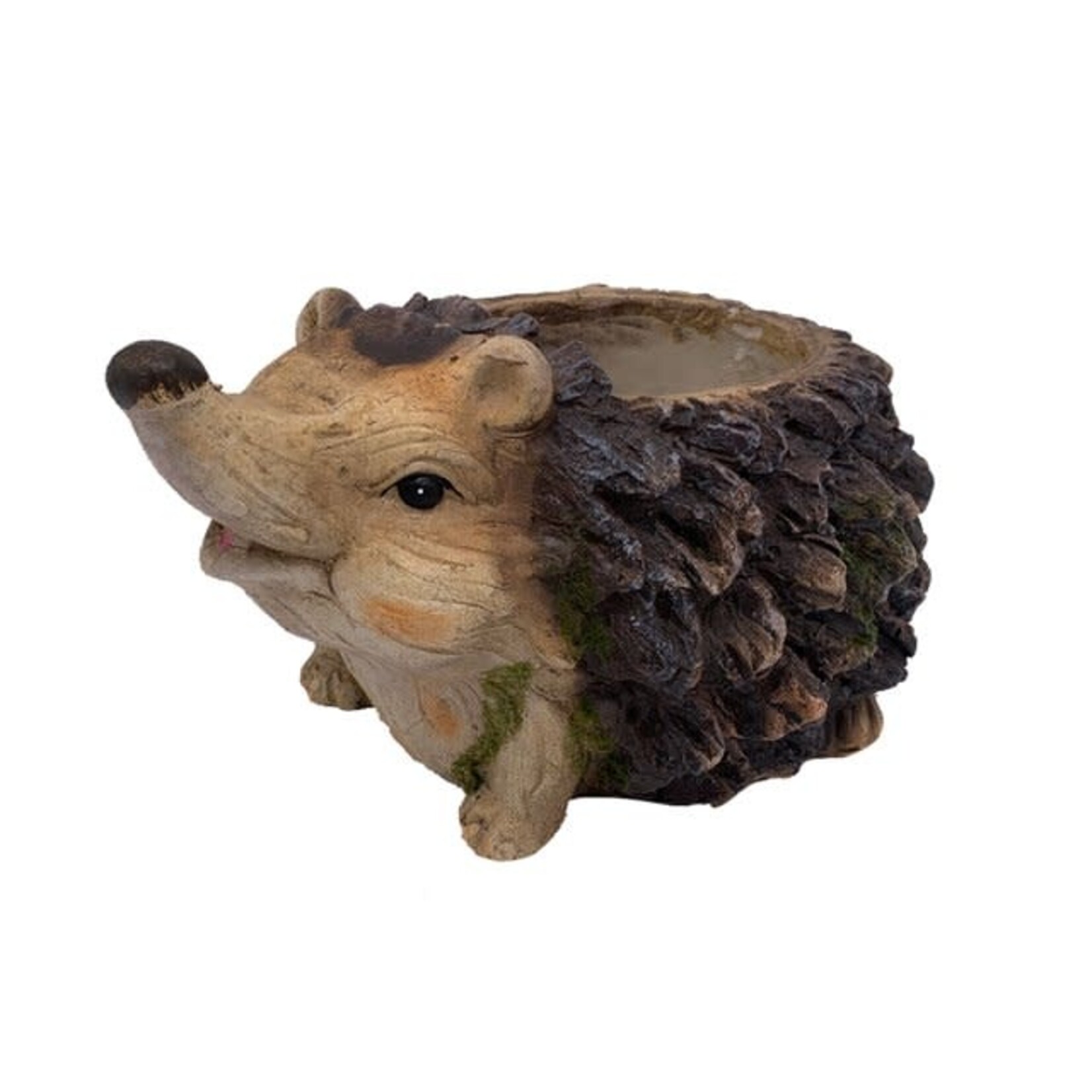 Faux Wood Henry Hedgehog Planter     (G9)