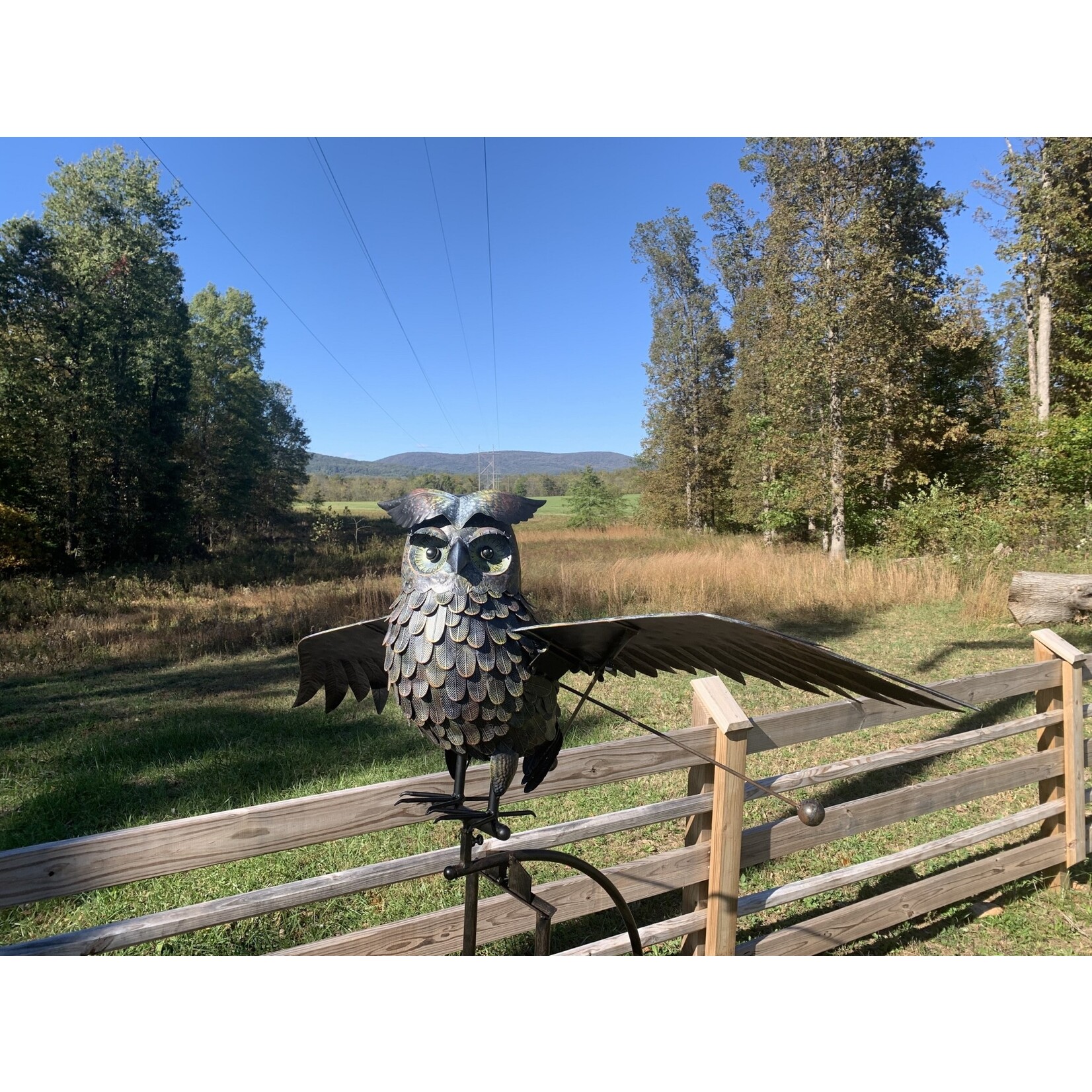 Esschart Design Metal Owl Rocker-84" H Wingspan 64" Wide