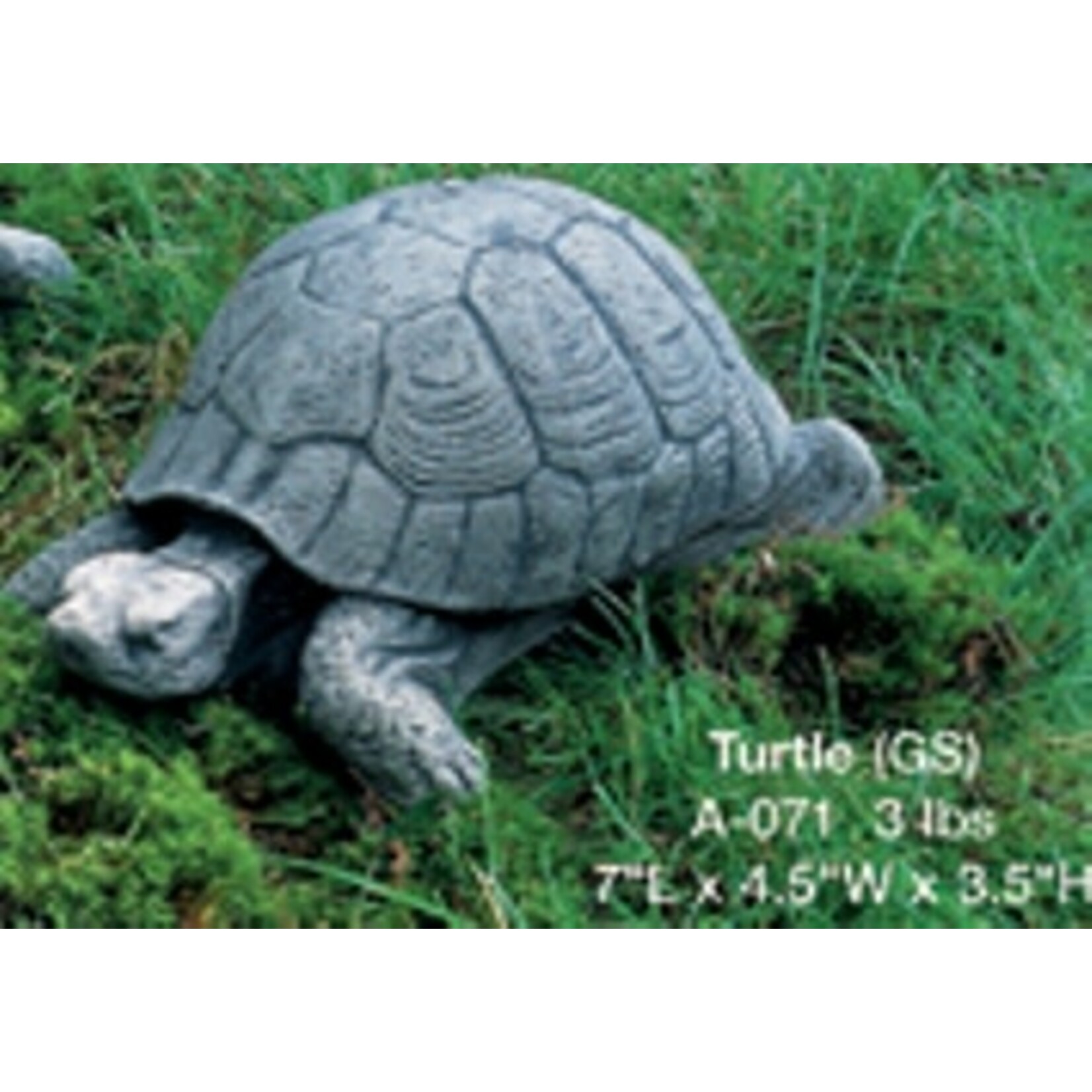 Campania Turtle  Statue