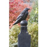 Campania Raven Statue