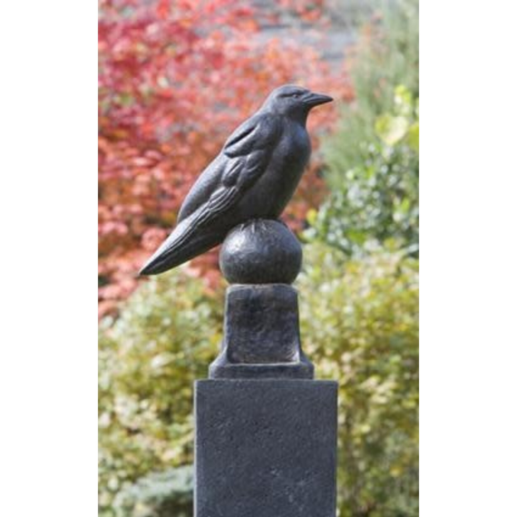 Campania Raven Statue