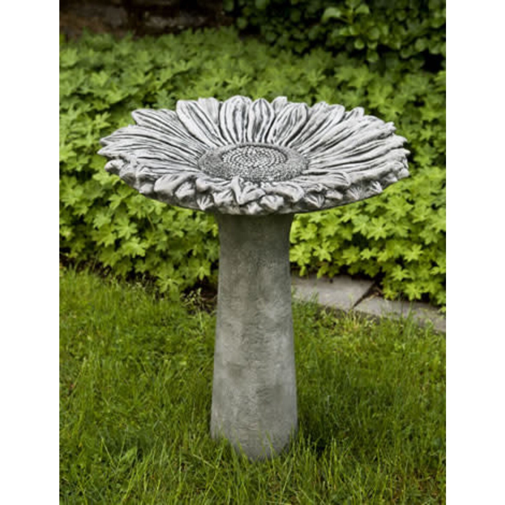 Campania Sunflower Birdbath in Moss Color (see color swatch in photos)