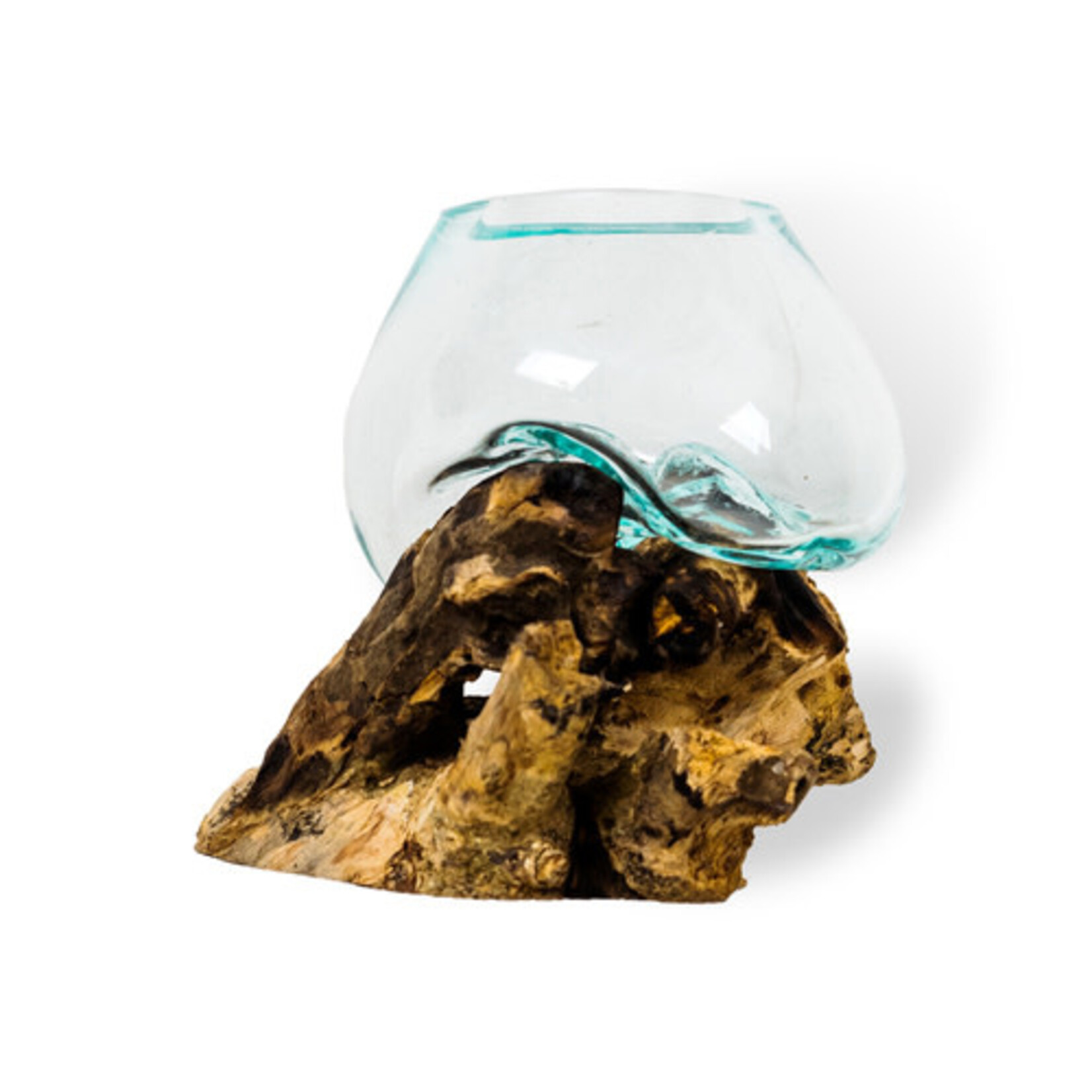 Mini Root with Blown Glass Bowl