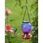 Ombre Glass Hummingbird Feeder purple