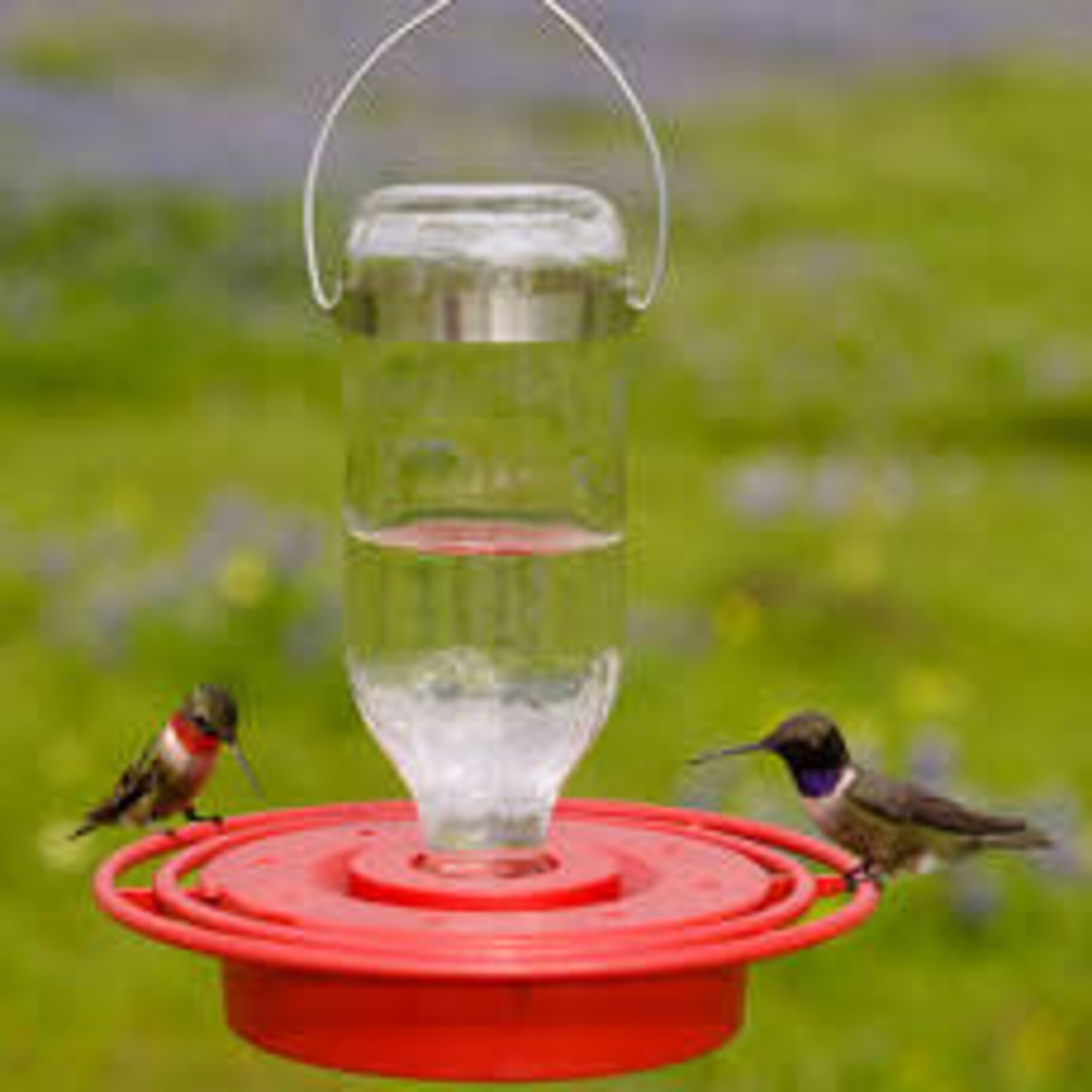 16 oz Hummingbird Feeder