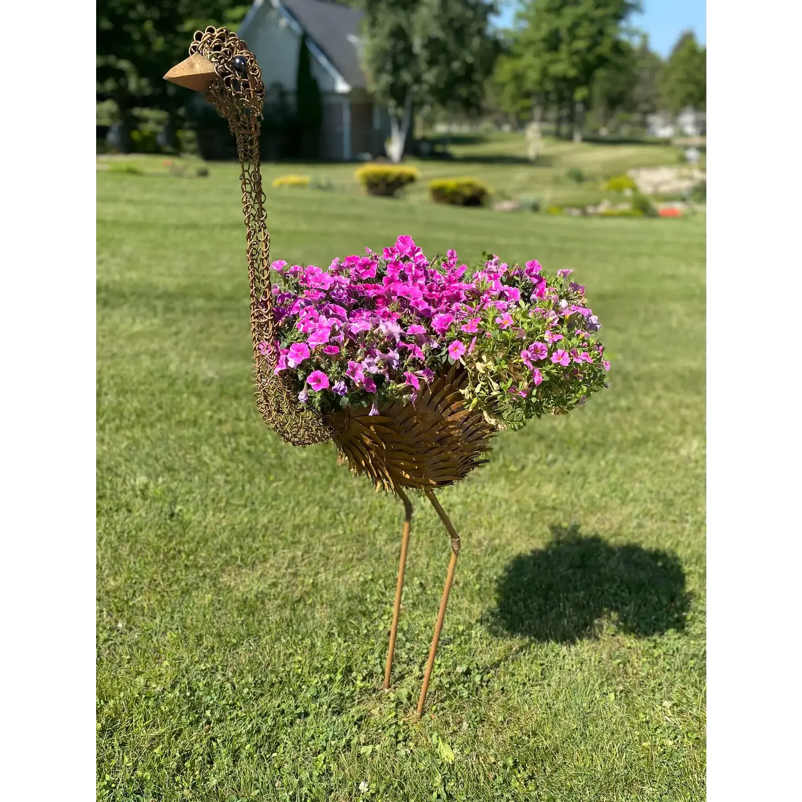 Emu Planter  (Wall A)