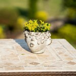 PECK ON THE CHEEK PLANTER  (C 11)