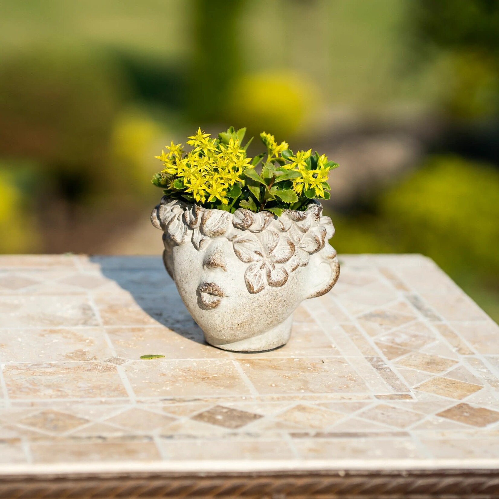 PECK ON THE CHEEK PLANTER