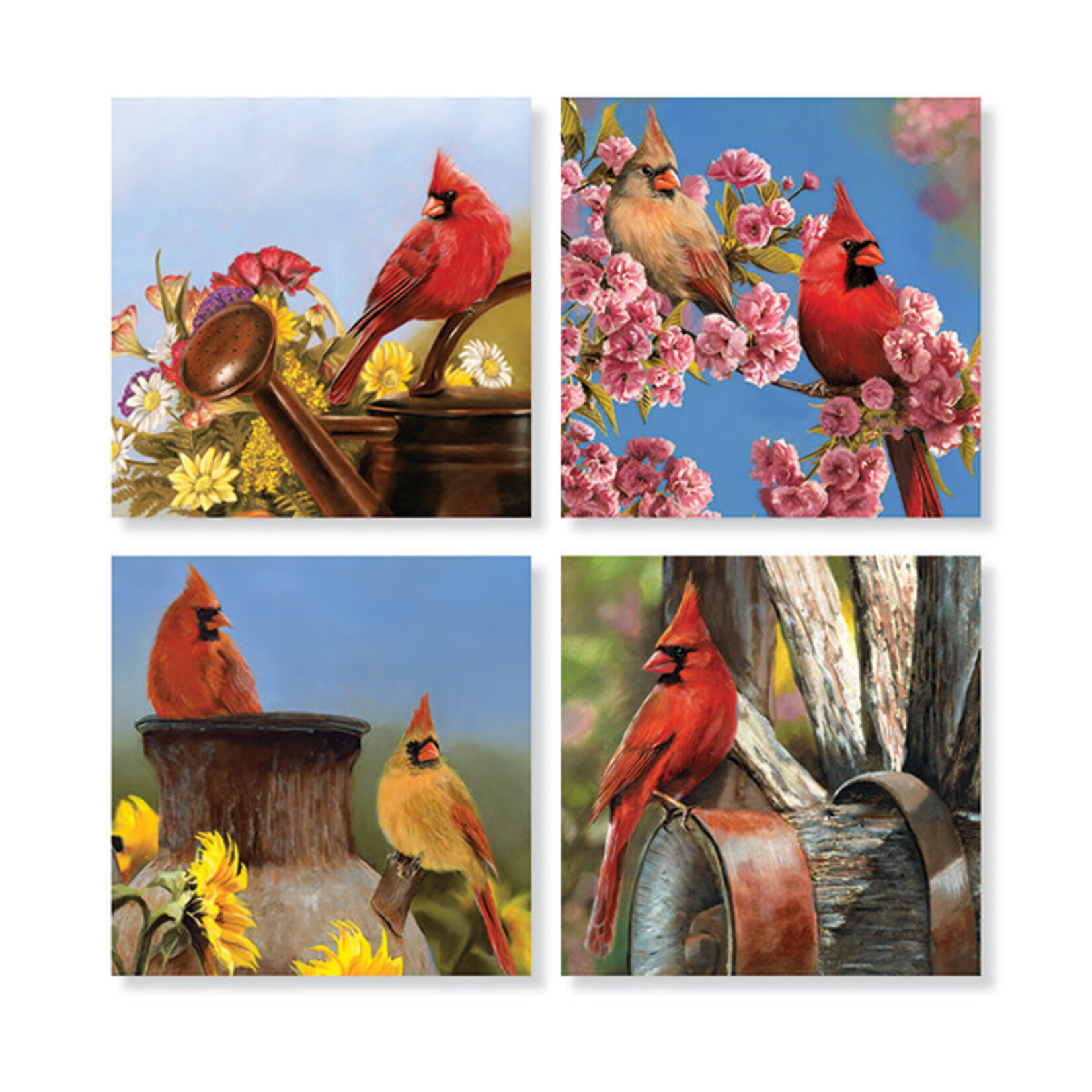 Cardinal Coaster Set