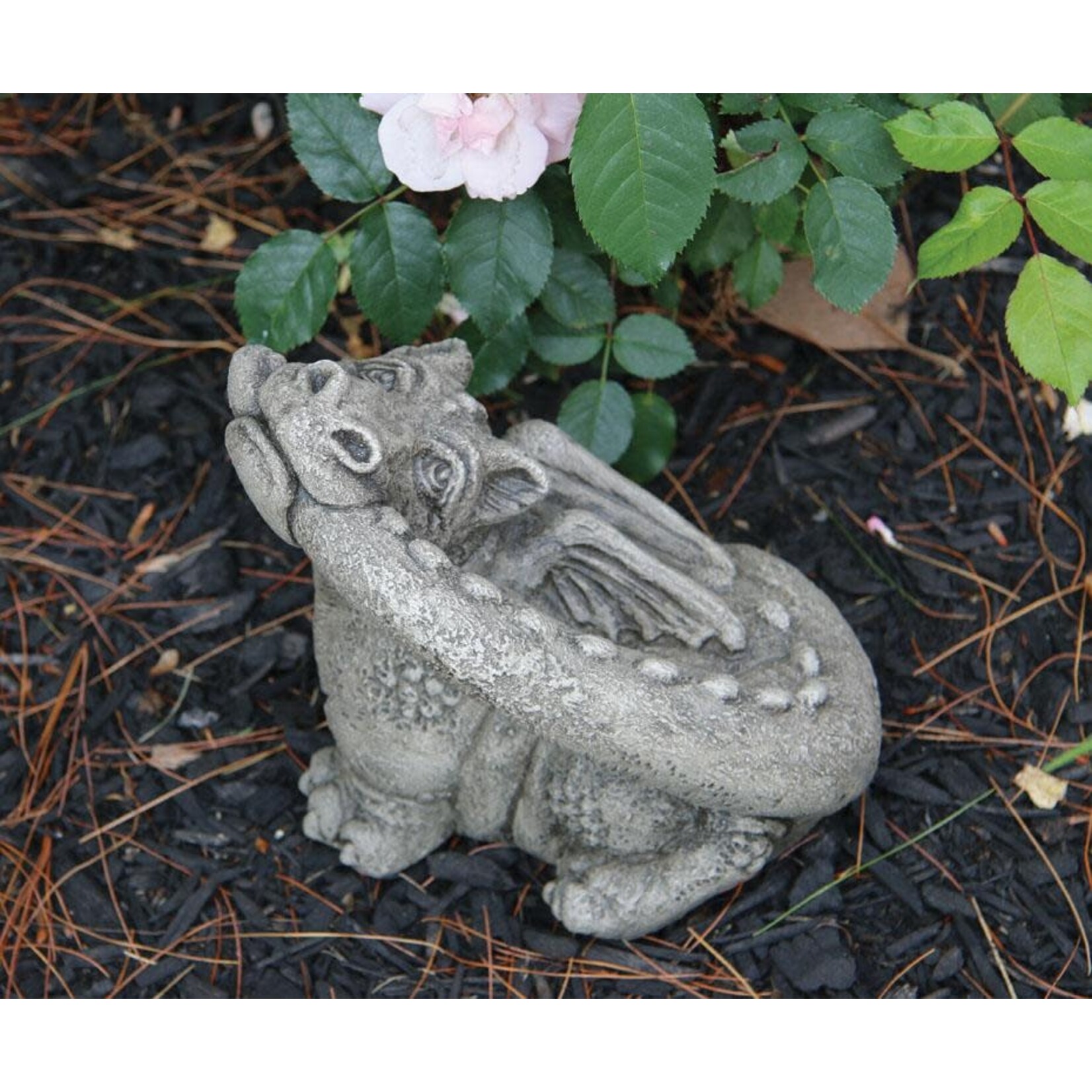 Massarelli Stone Lil Dragon - Treats