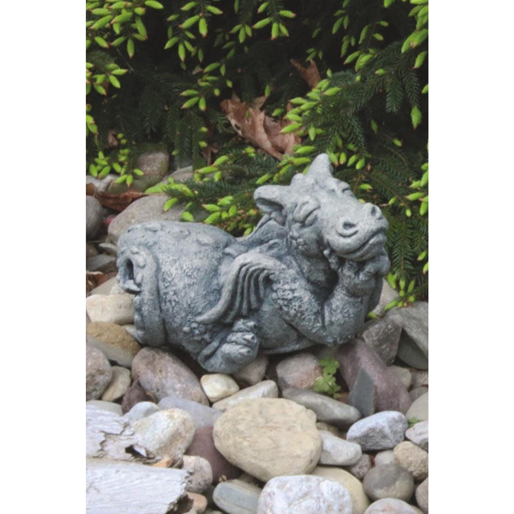 Massarelli Stone Lil Dragon Dreamer