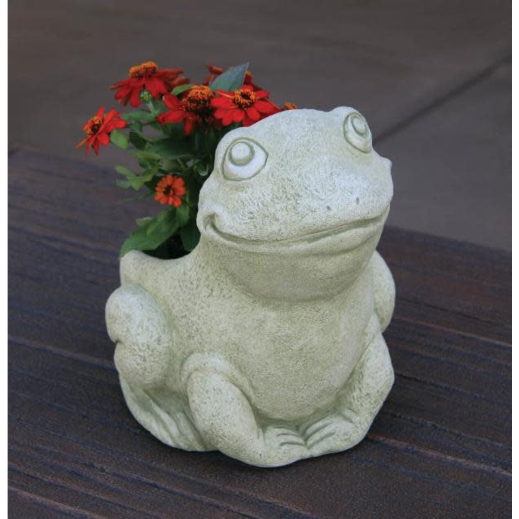 Massarelli Stone Ribbit The Frog Planter