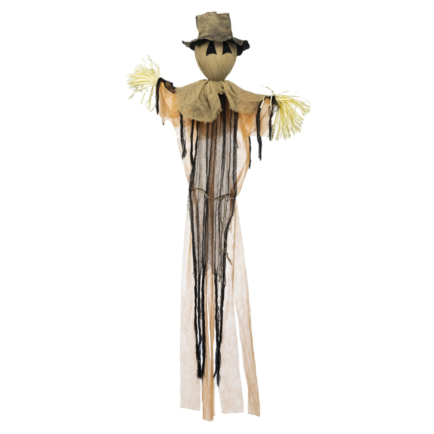 Spooky Scarecrow With Cold White Lights  (K&F)