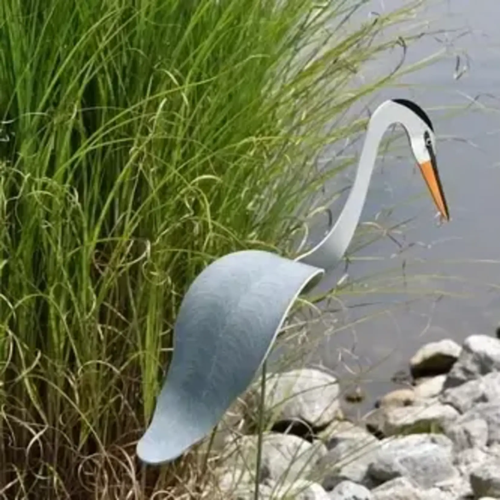 Great Blue Heron Dancing Bird