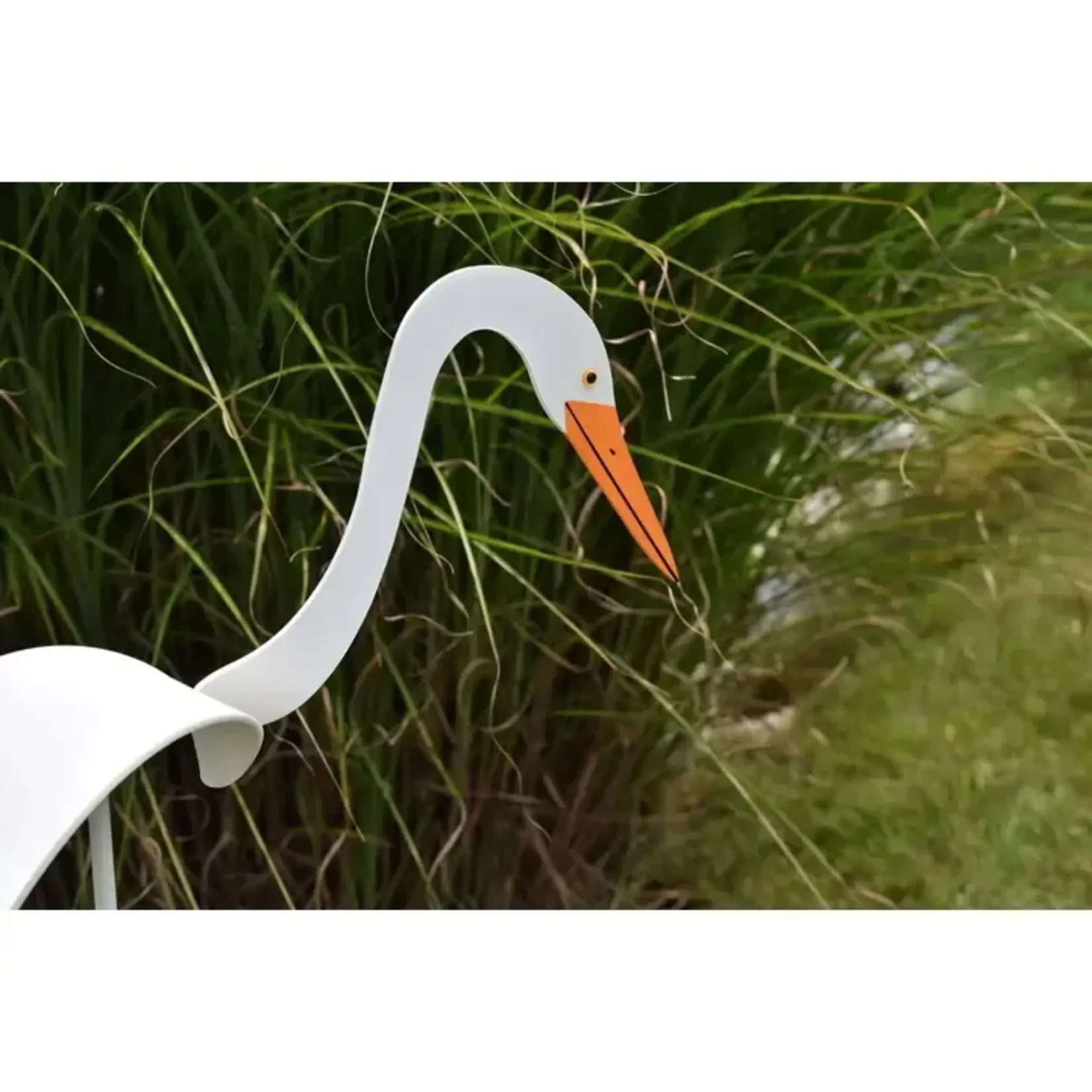 Egret - Dancing Bird