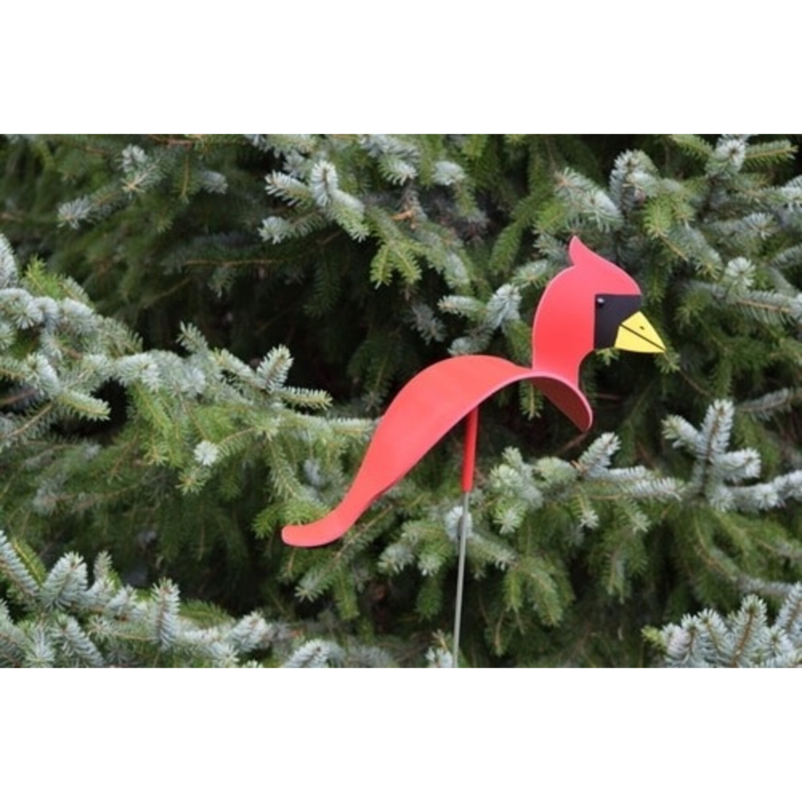 Florida Dancing Birds Cardinal - Dancing Bird