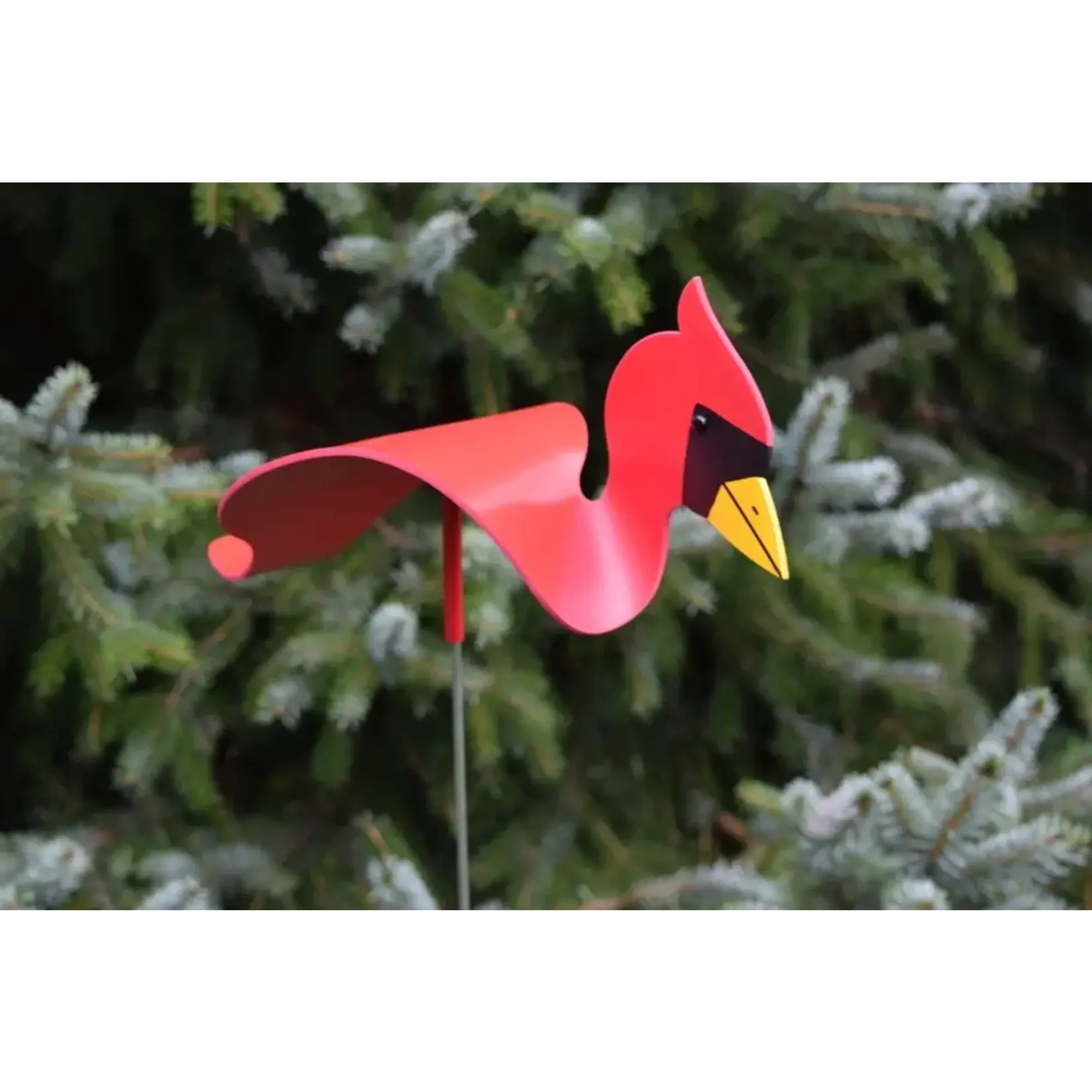 Florida Dancing Birds Cardinal - Dancing Bird
