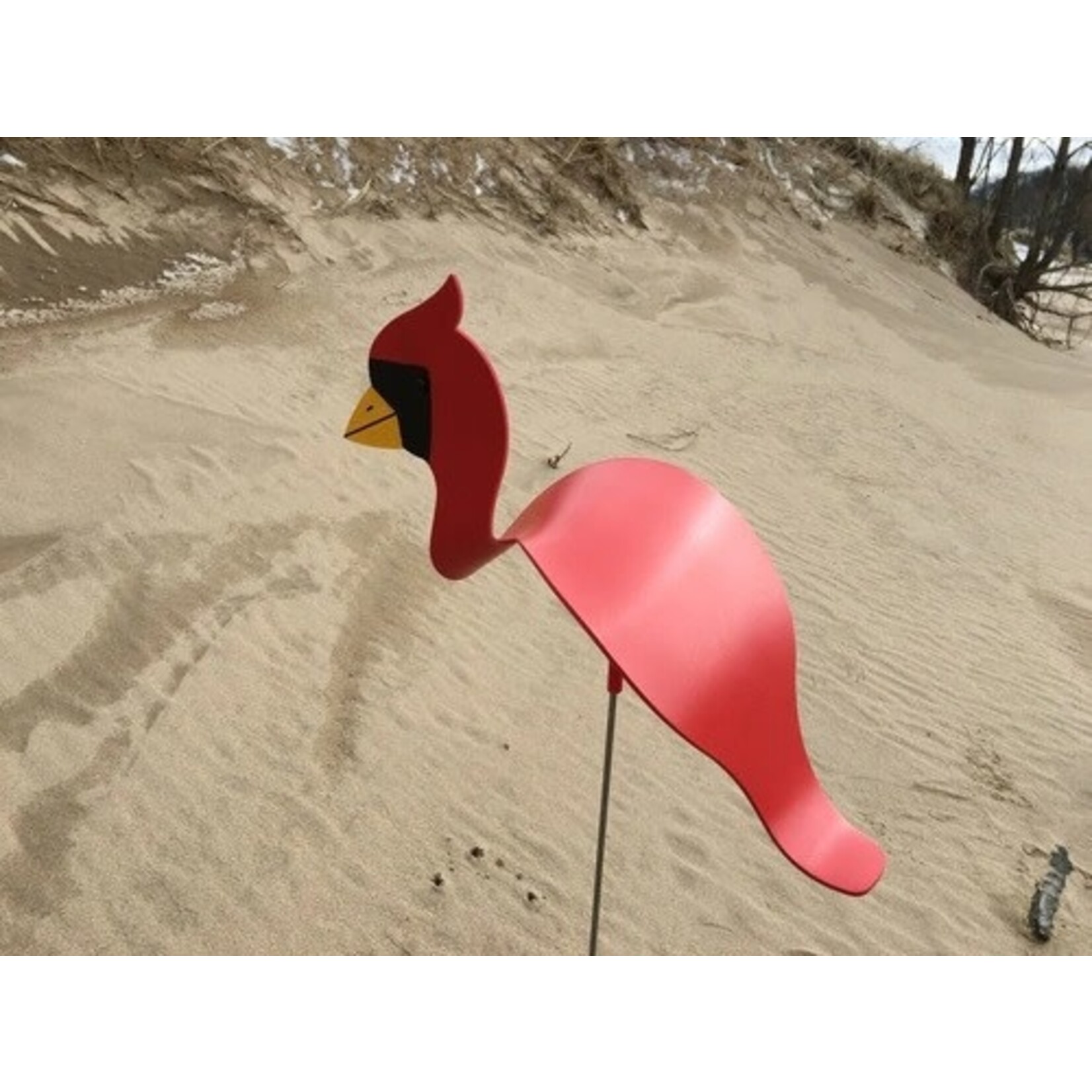 Florida Dancing Birds Cardinal - Dancing Bird