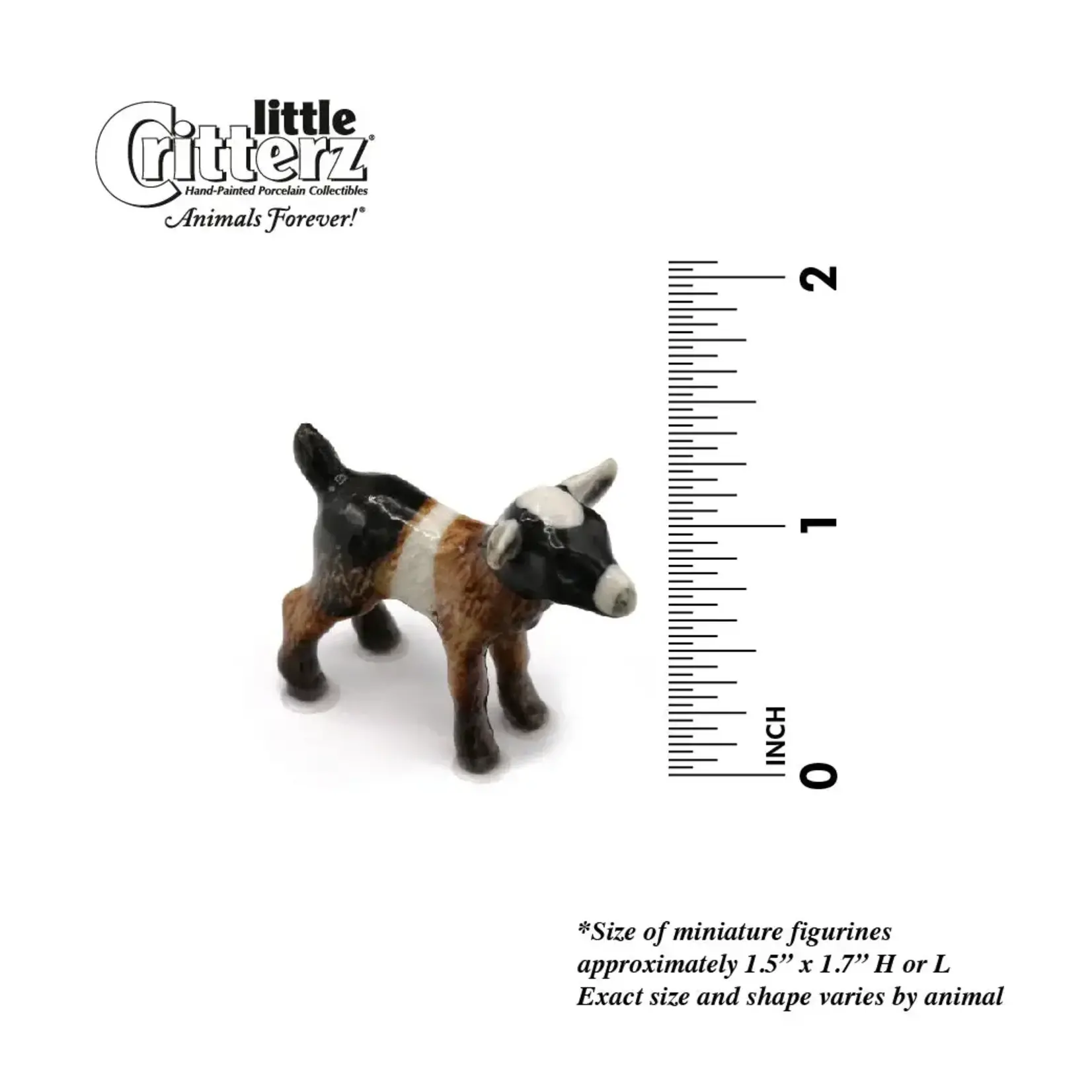 Little Critterz Goat Kid - "Chiumbo"
