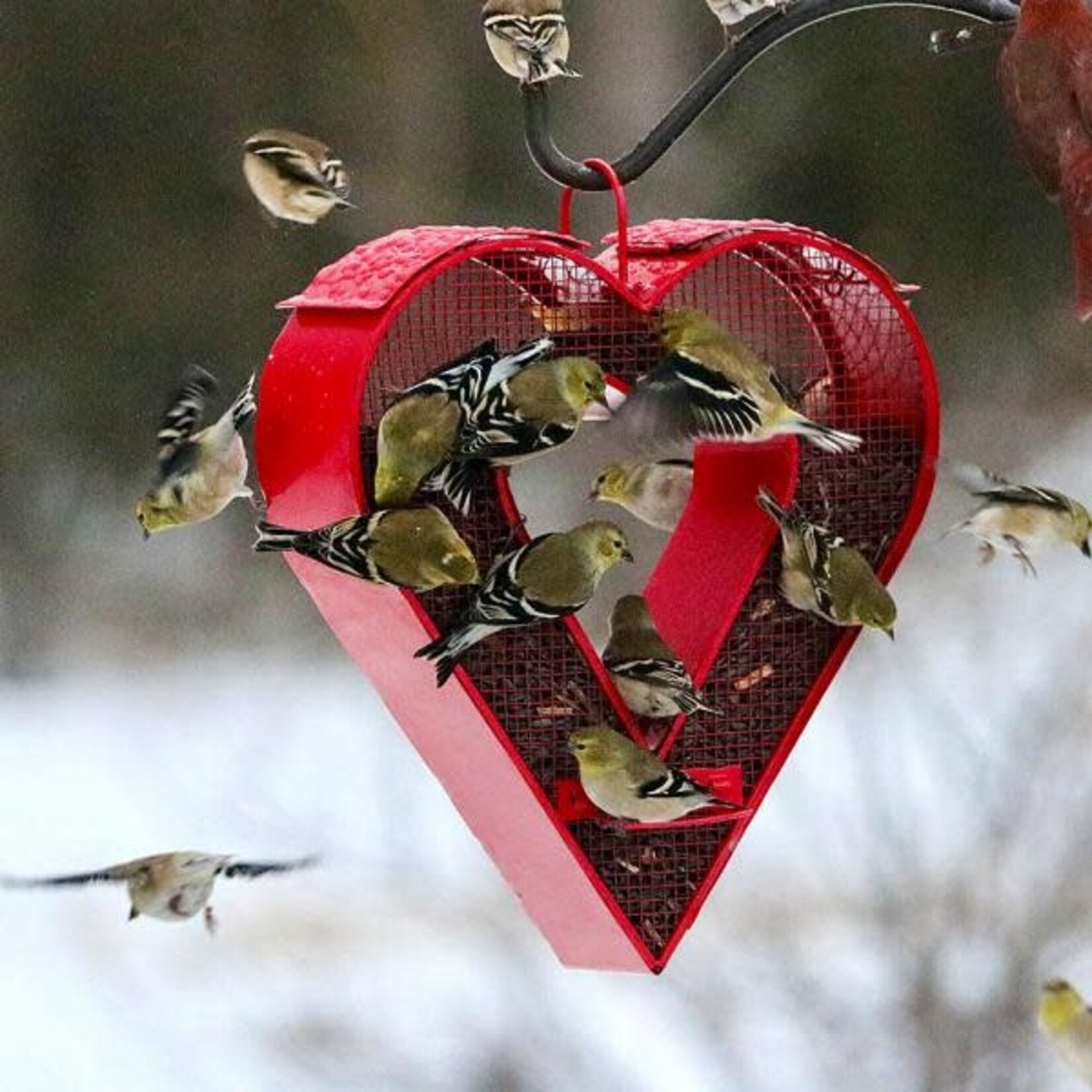 Red Heart Mesh Fly Thru Feeder