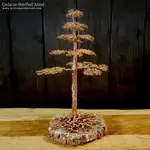 Copper Wire Cedar Tree Sculpture On Petrified Wood - Large