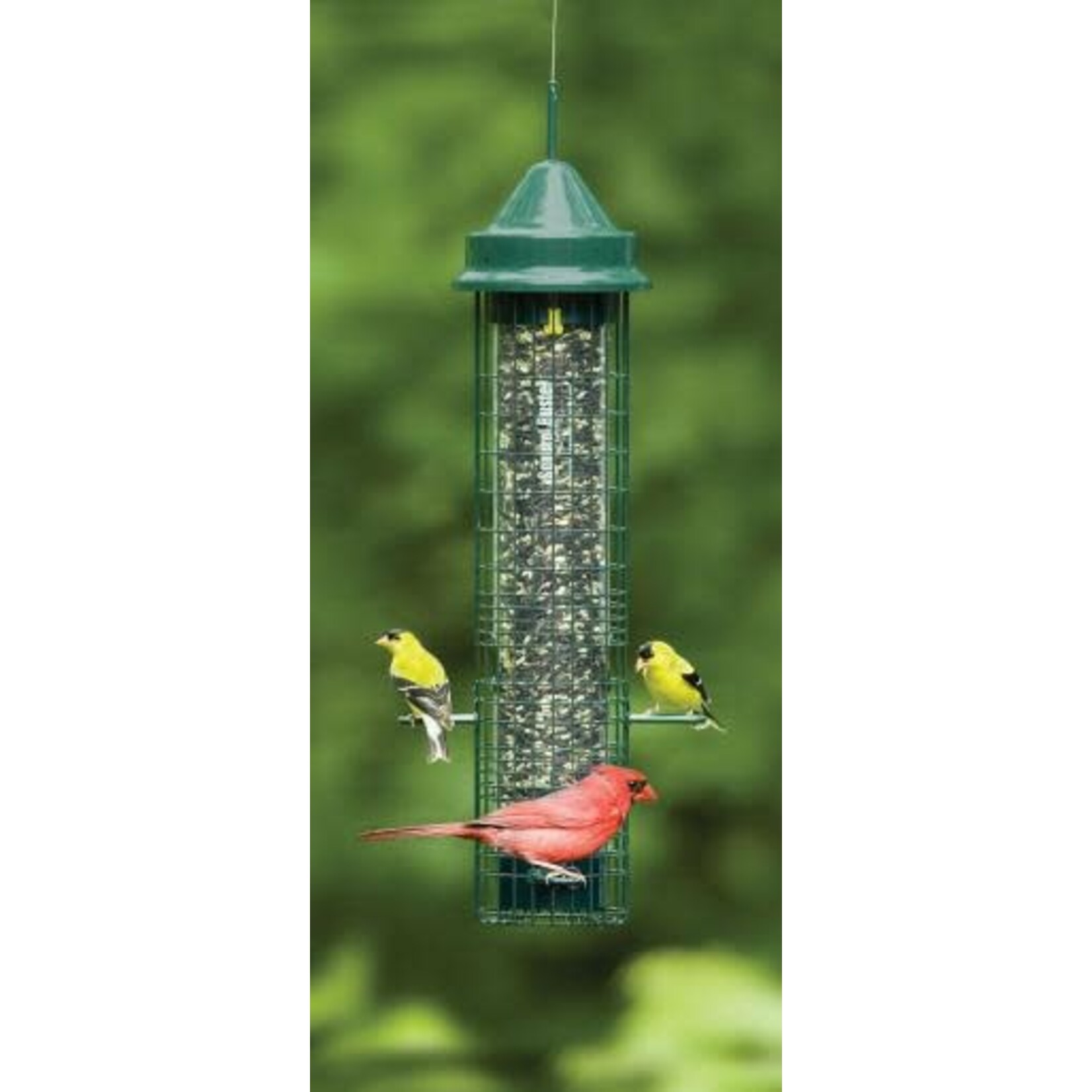 Squirrel Buster Classic 1-1/2 Q  Bird Feeder